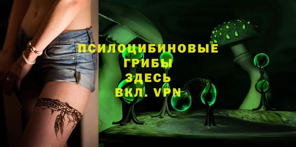 ПСИЛОЦИБИНОВЫЕ ГРИБЫ Бородино