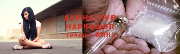 ПСИЛОЦИБИНОВЫЕ ГРИБЫ Бородино
