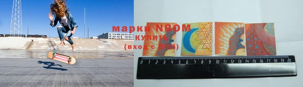 ПСИЛОЦИБИНОВЫЕ ГРИБЫ Бородино