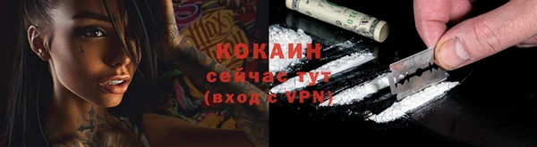 ПСИЛОЦИБИНОВЫЕ ГРИБЫ Бородино