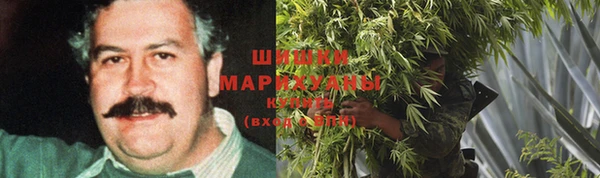 дмт Бронницы