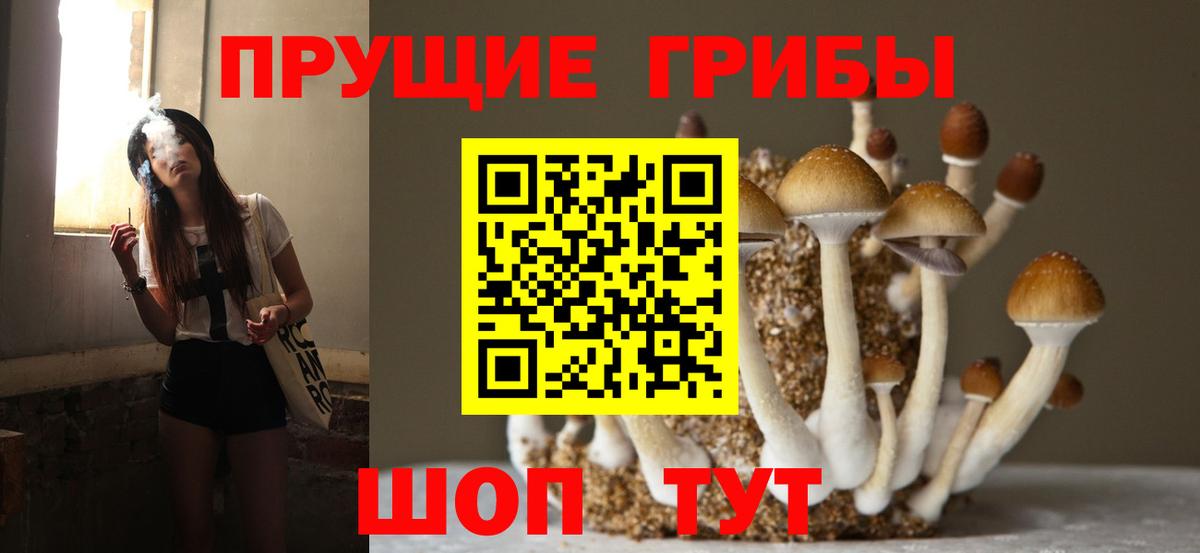 Верхняя Салда  Галлюциногенные грибы Psilocybe  Вход с VPN 